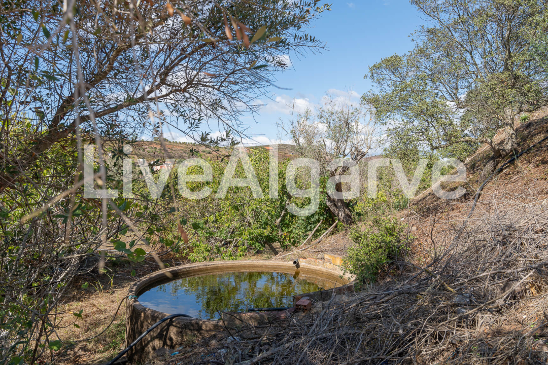 EXCLUSIVE | Big Plot and Ruins for Reconstruction for Sale at Arão – Portimão